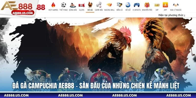 Đá Gà Cựa Dao