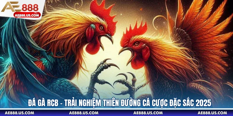 Đá Gà RCB