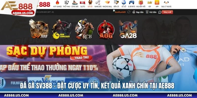 Đá Gà SV388