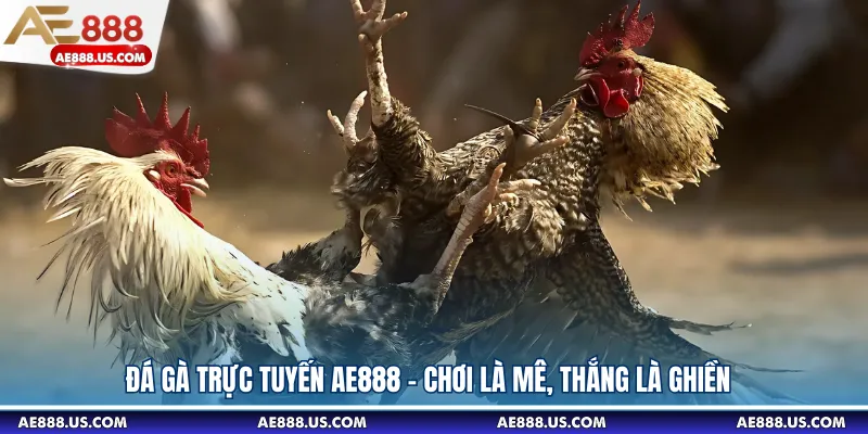 Đá Gà Trực Tuyến