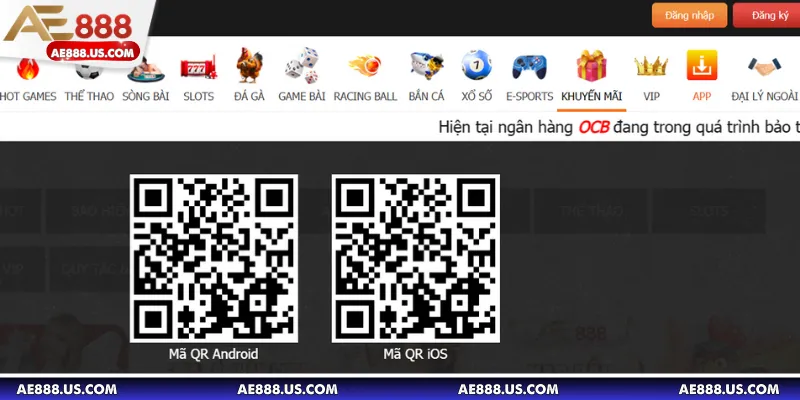 Điểm qua vài nguyên nhân phổ biến 2025 newbie nên xem kỹ
