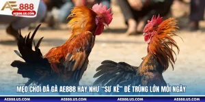 Mẹo Chơi Đá Gà